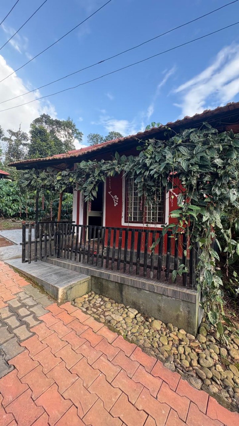 Vine-covered cottage with a small verandah on the estate