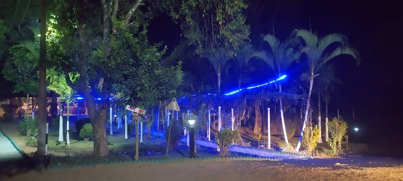 Garden paths lit up at night